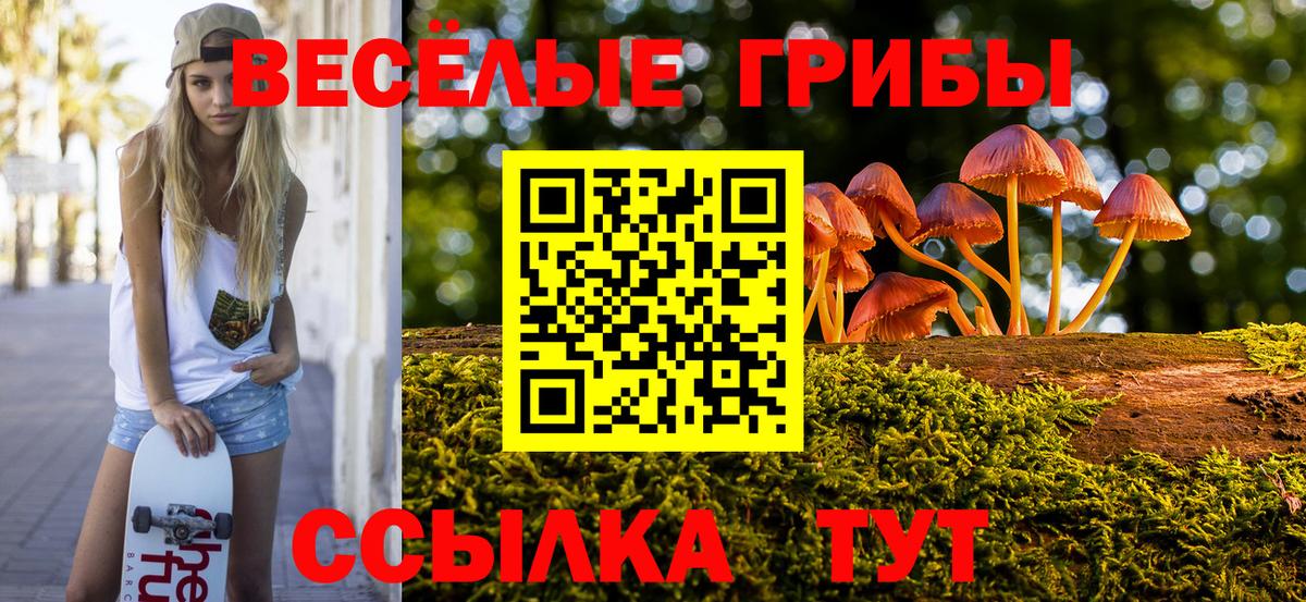 Строитель  Галлюциногенные грибы Cubensis  Вход с VPN  Галлюциногенные грибы Cubensis 