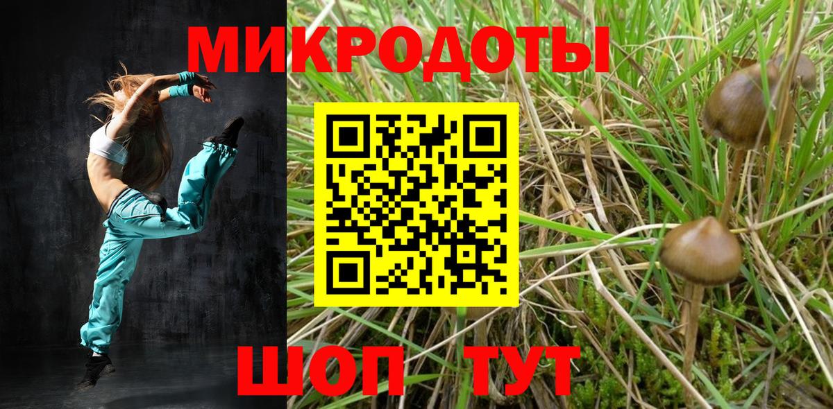 Галлюциногенные грибы Magic Shrooms Строитель