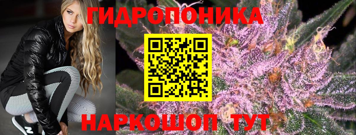 Каннабис планчик Строитель